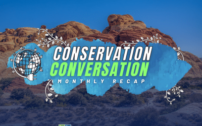 Conservation Conversation