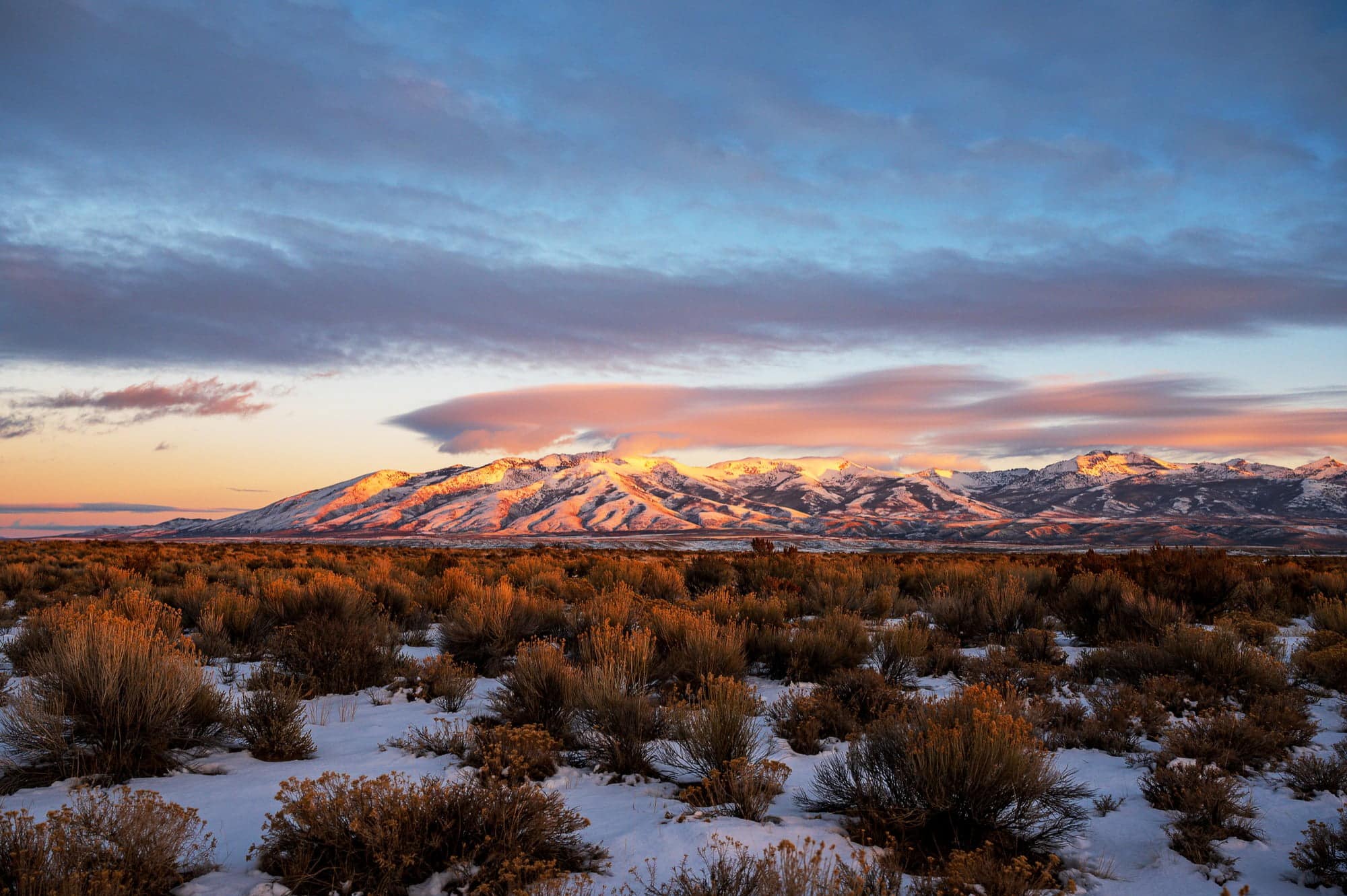 solar-companies-in-nevada-unveiling-sol-up-sol-up-solar